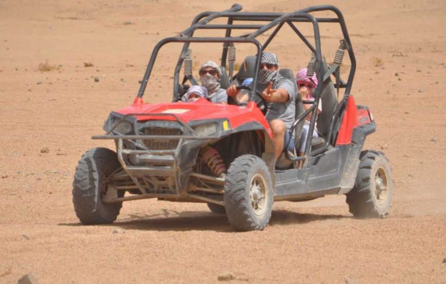 Family Safari