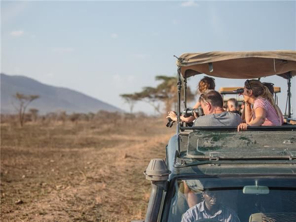 Family Safari